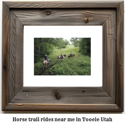 horse trail rides near me in Tooele, Utah